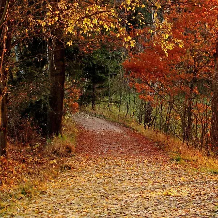 Ferienwohnung Waldstraße Mit Garten - Nur 50 Meter Vom Wald Entfernt