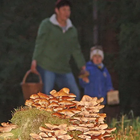 Ferienwohnung Waldstraße Mit Garten - Nur 50 Meter Vom Wald Entfernt Waldsassen