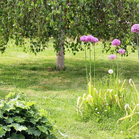 Ferienwohnung Waldstraße Mit Garten - Nur 50 Meter Vom Wald Entfernt Waldsassen
