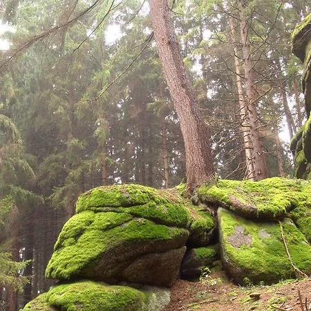 Ferienwohnung-waldstrasse-mit-garten-nur-50-meter-vom-wald-entfernt *
