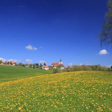 Ferienwohnung Waldstraße Mit Garten - Nur 50 Meter Vom Wald Entfernt Apartment