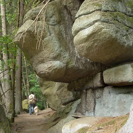 Ferienwohnung-waldstrasse-mit-garten-nur-50-meter-vom-wald-entfernt *